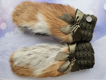 Dūraiņi lapsādas haki